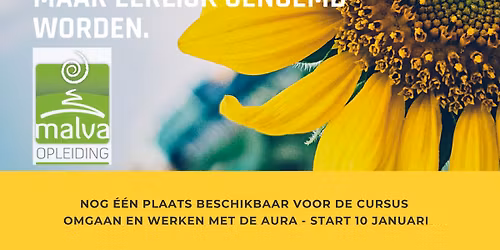 Omgaan en werken met de aura