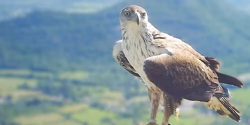 Rencontres photographes naturalistes