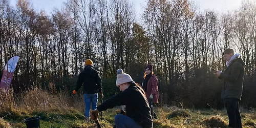 Citizen Forester Tree Maintenance, Parrs Wood Field, Manchester