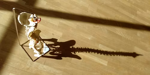 S'\u00e9panouir par le Mouvement : la colonne vert\u00e9brale