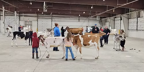 2026 MA Calf Sale-Youth Clinics