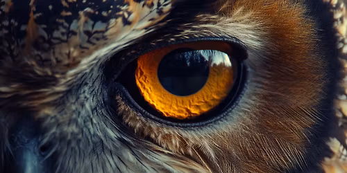 Vision & Flow-Festival | F\u00fcr M\u00e4nner & Frauen 