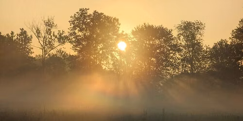 Summer Sunrise Yoga Series 