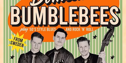 The Domestic Bumblebees + Boppin Steve live in Hamburg