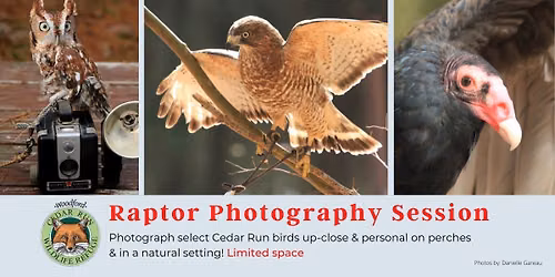 Raptor Photography Session