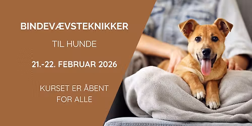 BINDEV\u00c6VSTEKNIKKER til hunde