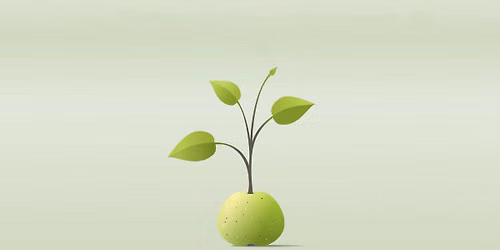 Auginam Obelyn\u0119 2026