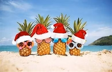 Jingle All the Wave Holiday Party