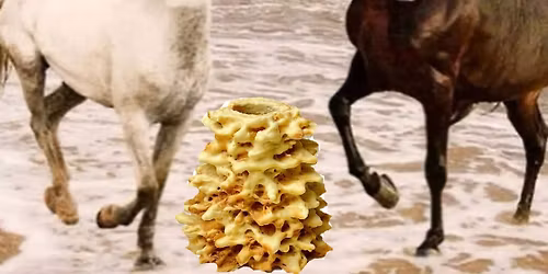 Vestuvin\u0117s muzikos vakaras su grupe Orai