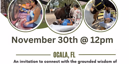 Healing with Horses Group Workshop