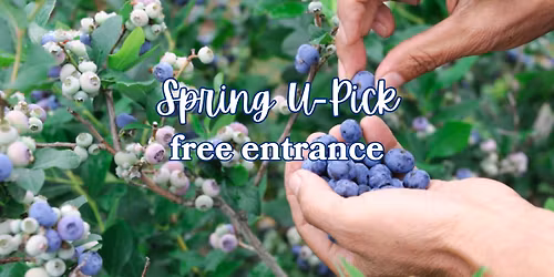 Spring U-Pick
