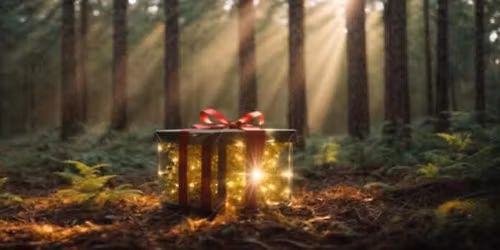 Receiving the Gifts - A Winter Workshop at Shambala (with Laura Heath)