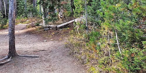 Chilli cookoff and Camo Sunday