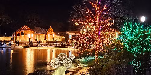 ADEC's Giving Tree Night at Wellfield's Holiday Lights