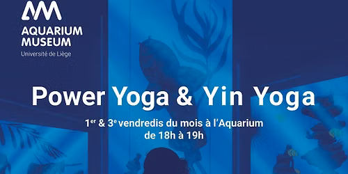 Yin Yoga \u00e0 l'Aquarium
