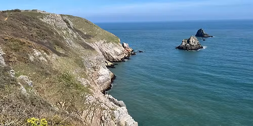 Geology of Shoalstone Beach and Berry Head
