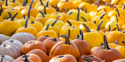 Halloween Scavenger Hunt at the Kitchener Market