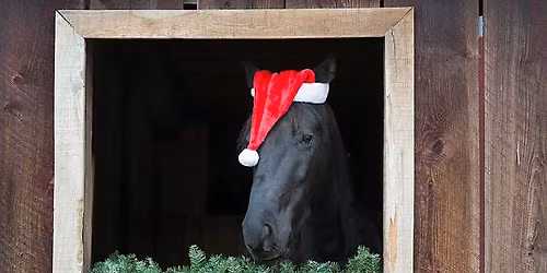 Holiday Horse Day Camp