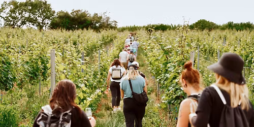 G\u00e4stef\u00fchrung: Weinwanderung "nachhaltig & innovativ"