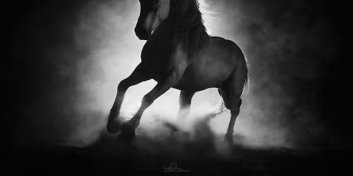 Equine Photography Masterclass 2026