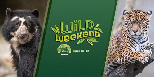 Wild Weekend: Amazonia