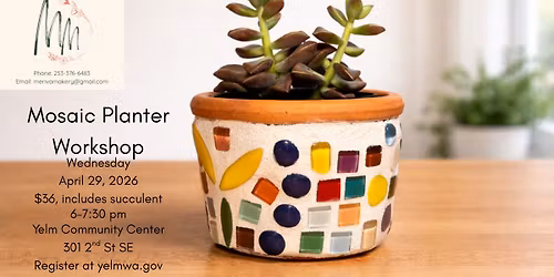 Mosaic Planter Workshop