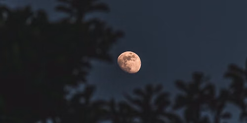 Full Moon Night Walk