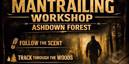 On the Trail in Ashdown Forest 