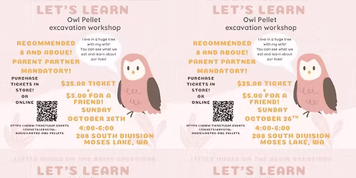 Owl pellet excavation!