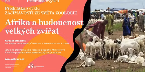 P\u0159edn\u00e1\u0161ka v zoo: Afrika a budoucnost velk\u00fdch zv\u00ed\u0159at