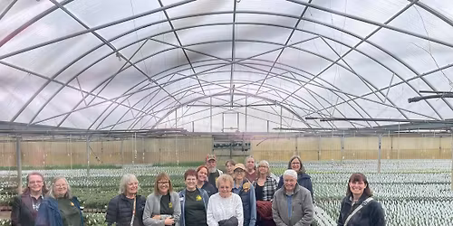 Houseplants Lunch and Learn