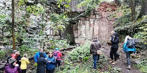 Fossils  and Geology of the Frome