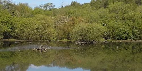 Rewild Yourself with Beyond Domestication  at Adel Dam Nature Reserve