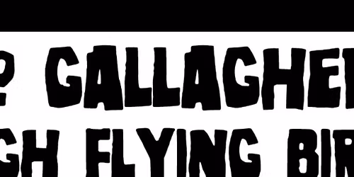 No Gallaghers' High Flying Birds