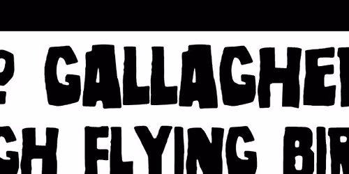 No Gallaghers' High Flying Birds
