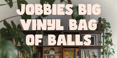 jobbie\u2019s big vinyl bag of balls