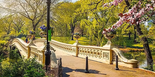 Central Park "Cherry Blossom" Singles Sunset Stroll