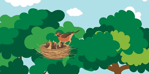 Birding Walks with Master Naturalist Lily Glaeser & Indigo Nathani - Giant City State Park Post Oak