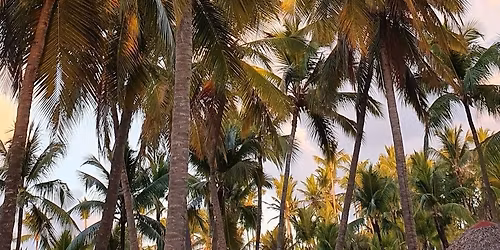 Taylor\u2019s HHI Customer Appreciation Event