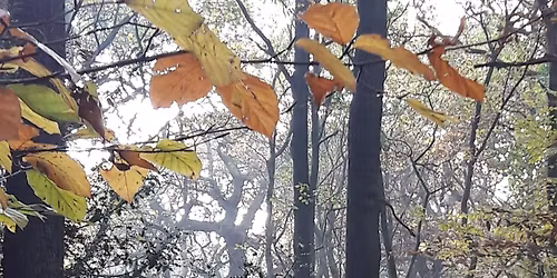 JAMYANG AUTUMN WELL-BEING DAY!\n\ud83c\udf41