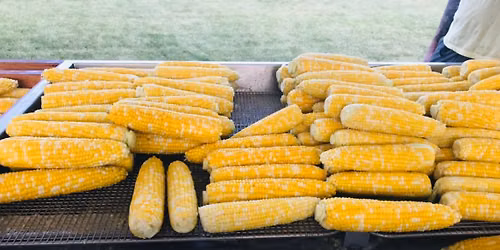 2026 Annual Corn Fest and Craft Fair