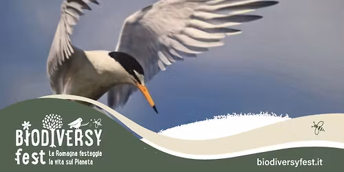 \ud83d\udc26 \ud83c\udf3f MERAVIGLIE DA SALVARE  \ud83d\udcf8 Inaugurazione mostra fotografica LIPU