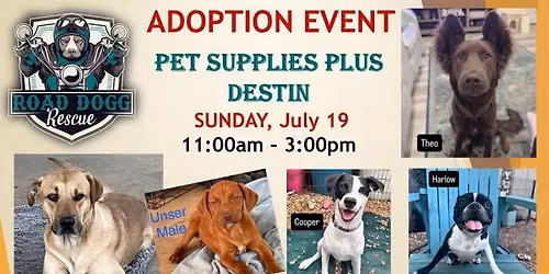 Adoption Event \ud83d\udc3e Destin \ud83d\udc3e