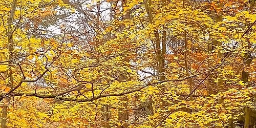 SMC Fall Classic : Lidingö Hike - 15 Km 