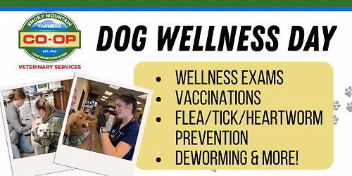 Dog Wellness Day - Sevierville