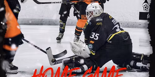 YKK WIDNES WILD VS TELFORD TIGERS\u2026 GO WILD THIS CHRISTMAS WITH WIDNES WILD! \ud83c\udf84