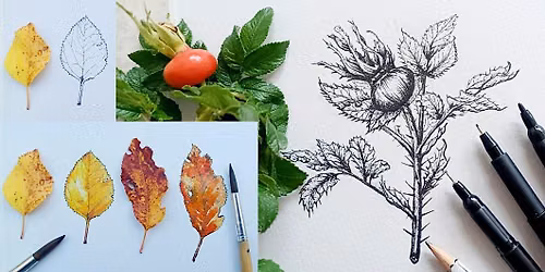 Autumnal Nature Illustration Workshop