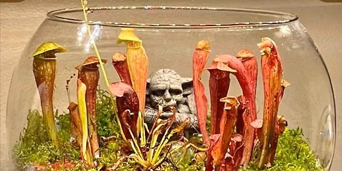 Bog Cemeteriums