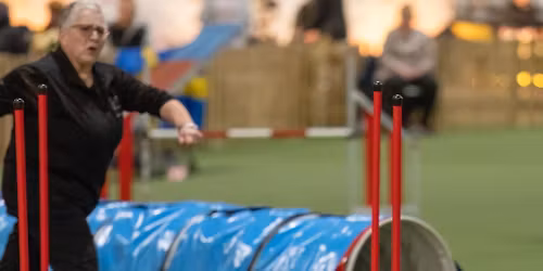 Stage d'agility avec Sabine PFAU