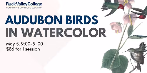 Audubon Birds in Watercolor